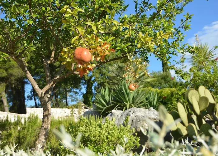 Apartment Nima Cozy *