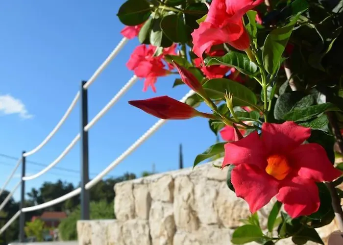 Apartment Nima Cozy Mlini