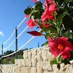 Appartement Nima Cozy Mlini