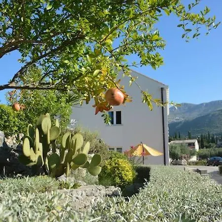 Apartamento Nima