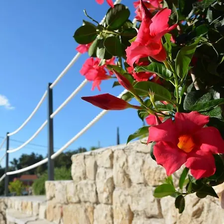 Apartman Nima Cozy Mlini