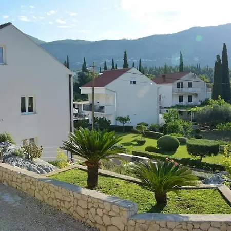 Lejlighed Nima Cozy *